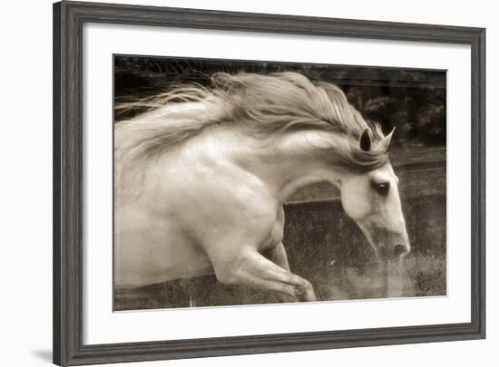 Hurricane 2-Susan Friedman-Framed Giclee Print