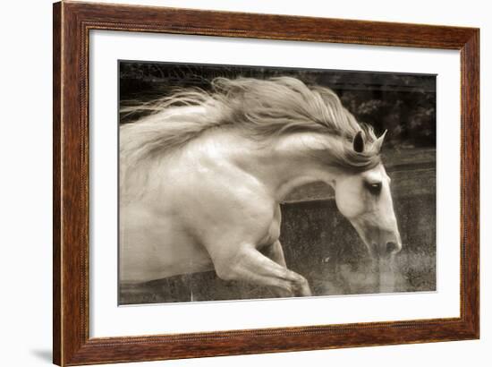 Hurricane 2-Susan Friedman-Framed Giclee Print