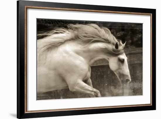 Hurricane 2-Susan Friedman-Framed Giclee Print