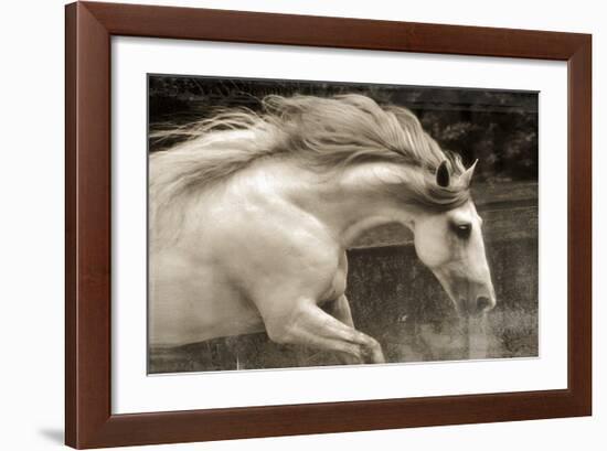 Hurricane 2-Susan Friedman-Framed Giclee Print