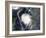 Hurricane Charley-Stocktrek Images-Framed Photographic Print