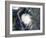 Hurricane Charley-Stocktrek Images-Framed Photographic Print