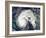 Hurricane Earl-Stocktrek Images-Framed Photographic Print