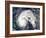 Hurricane Earl-Stocktrek Images-Framed Photographic Print