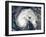 Hurricane Earl-Stocktrek Images-Framed Photographic Print