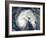 Hurricane Earl-Stocktrek Images-Framed Photographic Print