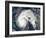 Hurricane Earl-Stocktrek Images-Framed Photographic Print