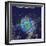 Hurricane Irma Rainfall, 3D Satellite Image-null-Framed Photographic Print