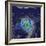 Hurricane Irma Rainfall, 3D Satellite Image-null-Framed Photographic Print