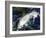 Hurricane Paula-Stocktrek Images-Framed Photographic Print