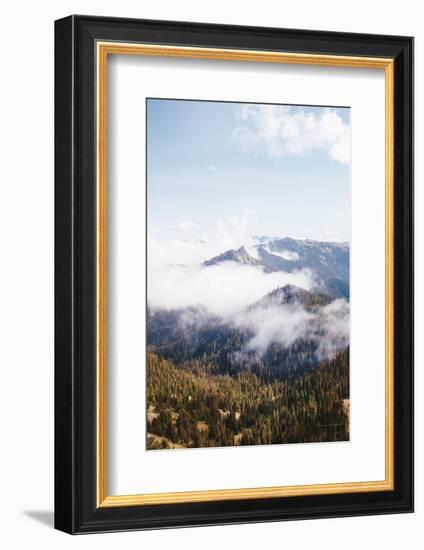 Hurricane Ridge I-Laura Marshall-Framed Photographic Print