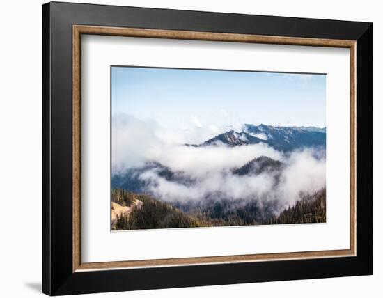 Hurricane Ridge II-Laura Marshall-Framed Photographic Print