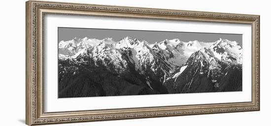 Hurricane Ridge Morning-Douglas Taylor-Framed Photo