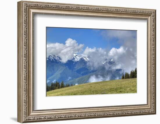 Hurricane Ridge, Olympic National Park, UNESCO World Heritage Site-Richard Maschmeyer-Framed Photographic Print