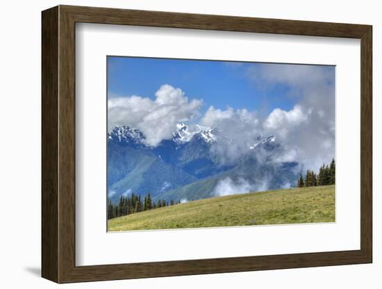 Hurricane Ridge, Olympic National Park, UNESCO World Heritage Site-Richard Maschmeyer-Framed Photographic Print