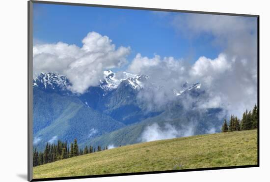 Hurricane Ridge, Olympic National Park, UNESCO World Heritage Site-Richard Maschmeyer-Mounted Photographic Print