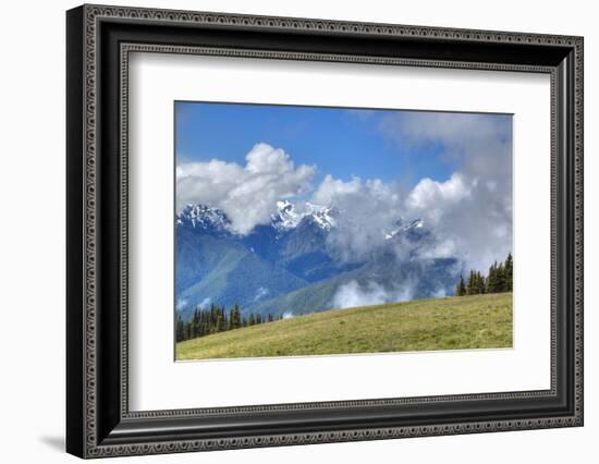 Hurricane Ridge, Olympic National Park, UNESCO World Heritage Site-Richard Maschmeyer-Framed Photographic Print