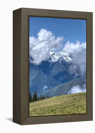 Hurricane Ridge, Olympic National Park, UNESCO World Heritage Site-Richard Maschmeyer-Framed Premier Image Canvas