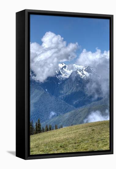 Hurricane Ridge, Olympic National Park, UNESCO World Heritage Site-Richard Maschmeyer-Framed Premier Image Canvas