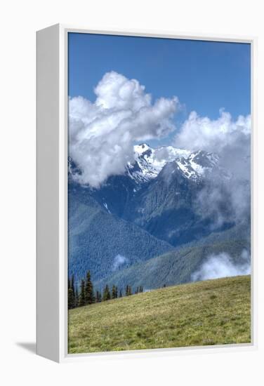 Hurricane Ridge, Olympic National Park, UNESCO World Heritage Site-Richard Maschmeyer-Framed Premier Image Canvas