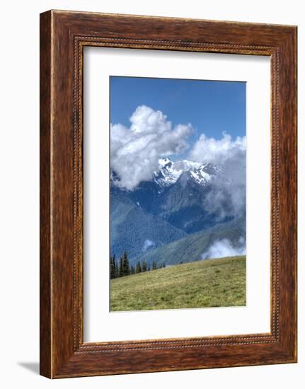 Hurricane Ridge, Olympic National Park, UNESCO World Heritage Site-Richard Maschmeyer-Framed Photographic Print