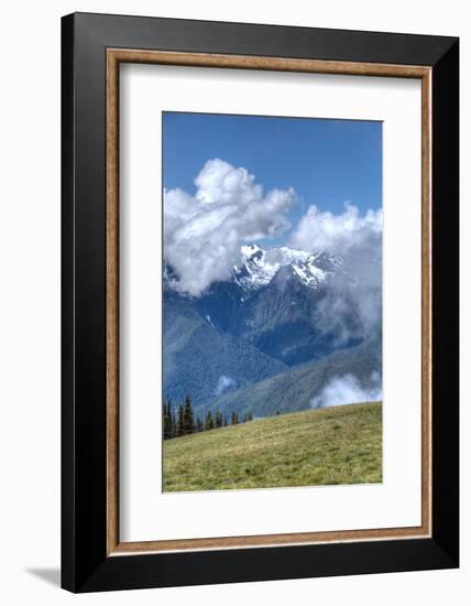 Hurricane Ridge, Olympic National Park, UNESCO World Heritage Site-Richard Maschmeyer-Framed Photographic Print