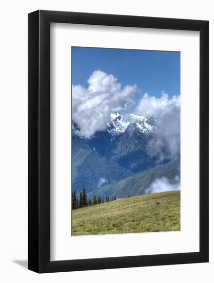 Hurricane Ridge, Olympic National Park, UNESCO World Heritage Site-Richard Maschmeyer-Framed Photographic Print