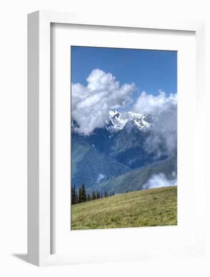 Hurricane Ridge, Olympic National Park, UNESCO World Heritage Site-Richard Maschmeyer-Framed Photographic Print