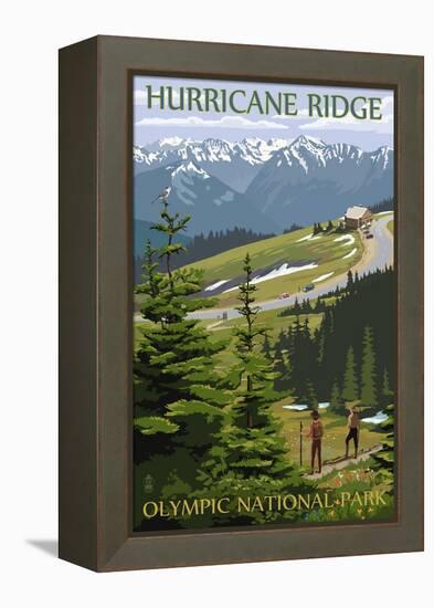 Hurricane Ridge, Olympic National Park, Washington-Lantern Press-Framed Stretched Canvas