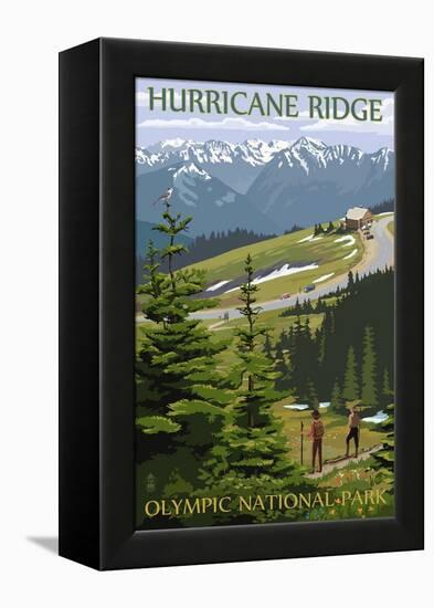 Hurricane Ridge, Olympic National Park, Washington-Lantern Press-Framed Stretched Canvas