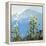 Hurricane Ridge-Max Hayslette-Framed Premier Image Canvas