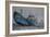 Hurricane Sandy, 2012-Anthony Butera-Framed Giclee Print