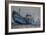 Hurricane Sandy, 2012-Anthony Butera-Framed Giclee Print