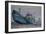 Hurricane Sandy, 2012-Anthony Butera-Framed Giclee Print