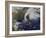 Hurricane Sandy Along the East Coast of the United States-Stocktrek Images-Framed Photographic Print