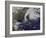 Hurricane Sandy Along the East Coast of the United States-Stocktrek Images-Framed Photographic Print