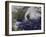 Hurricane Sandy Along the East Coast of the United States-Stocktrek Images-Framed Photographic Print