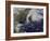 Hurricane Sandy Along the East Coast of the United States-Stocktrek Images-Framed Photographic Print