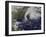 Hurricane Sandy Along the East Coast of the United States-Stocktrek Images-Framed Photographic Print