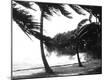 Premium Photographic Print