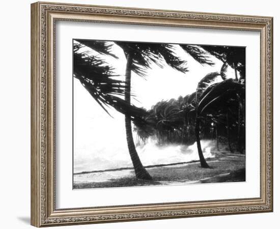 Hurricane Waves Strike the Seawall-null-Framed Photo