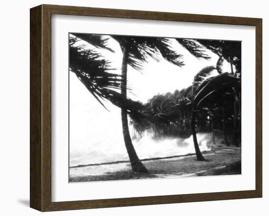 Hurricane Waves Strike the Seawall-null-Framed Photo