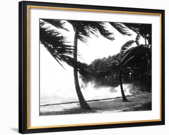 Hurricane Waves Strike the Seawall-null-Framed Photo