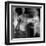 Hurricane-Gideon Ansell-Framed Premium Photographic Print