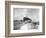 Hurricanes 1950-1957-Randy Taylor-Framed Photographic Print