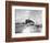 Hurricanes 1950-1957-Randy Taylor-Framed Photographic Print