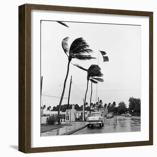 Hurricanes 1960-Harold Valentine-Framed Photographic Print