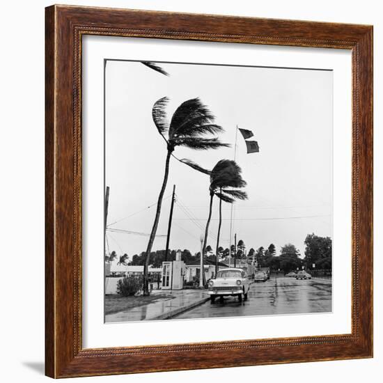 Hurricanes 1960-Harold Valentine-Framed Photographic Print