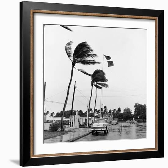 Hurricanes 1960-Harold Valentine-Framed Photographic Print