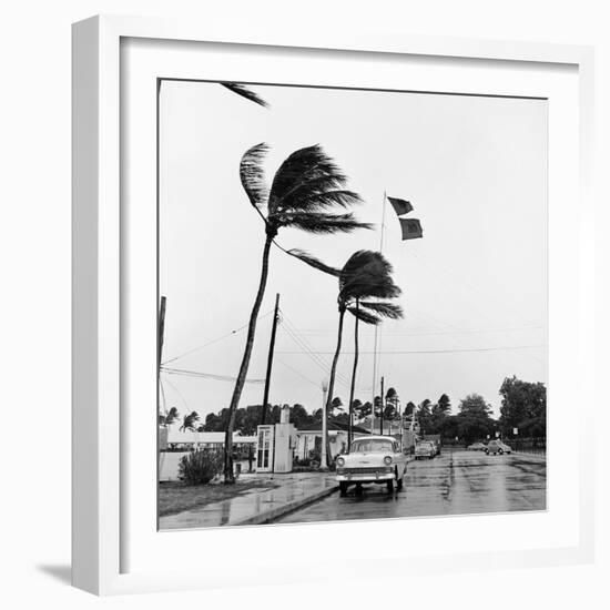 Hurricanes 1960-Harold Valentine-Framed Photographic Print